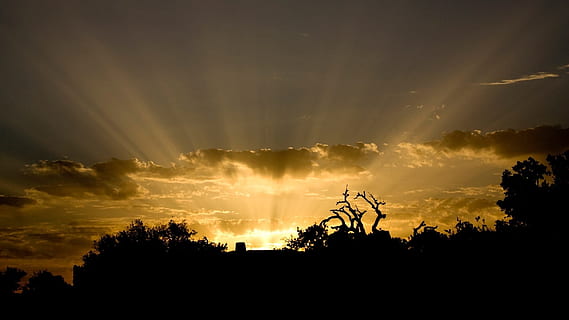 solnedgang, sol, landskab, Sky, måned, nat, marine, strand, sand, ocean, solnedgang strand, rejse, ferie, paradis, horisont, solopgang, fredelig, farve, afspejling, vand, himmel, natur, sommer, blå, bølge, kystnære, hed, om aftenen, Palmer, slap af, orange, rød, silhuet, skumring, baggrundsbelyst, sollys, orange farve, solopgang - daggry, sky - himmel, udendørs, cloudscape, skønhed i naturen, scenics, ro, træ, plante, solstråle, scenics - natur, dramatisk himmel, ingen mennesker, rolig scene, miljø, idyllisk, lyse, 1080P, CC0, offentligt domæne, royaltyfrie