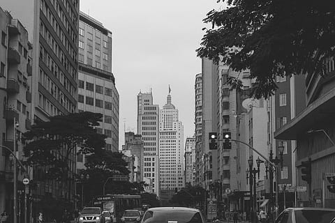 architecture, black-and-white, buildings, cars, city, group, hotel, office, outdoors, people, road, skyscraper, skyscrapers, street, tower, traffic lights, transportation system, travel, trees, urban, vehicles, black And White, urban Scene, car, building Exterior, city Life, built structure, building, motor vehicle, mode of transportation, land vehicle, transportation, office building exterior, sky, tree, residential district, plant, nature, tall - high, no people, city street, modern, apartment, financial district, 2K