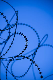Wire, Engel, Color Image, backgrounds, no people, prison, blue, barricade, abstract pattern, copy space, close-up, abstract, background, vivid color, nobody, macro, pattern, sharp, design, detail, selective focus, razor, sky, barbed Wire, safety, security, razor wire, protection, metal, fence, communication, studio shot, boundary, focus on foreground, colored background, nature, wire mesh, blue background, 5K, CC0, public domain, royalty free