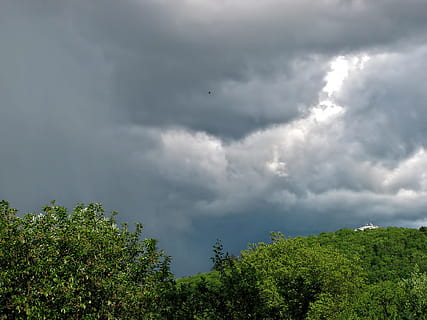 Bäume, wolkig, Himmel, Tag, dunkel, Wolken, Grün, Geäst, Blätter, belaubt, Pflanzen, Flora, Horizont, Natur, Stürme, stürmisch, Wetter, Wolkengebilde, szenisch, Landschaft, Wald, wolke - himmel, Baum, Pflanze, Schönheit in der Natur, Sturm, Sturmwolke, keine Leute, grüne Farbe, Wachstum, Szenen - Natur, Gewitter, Flachwinkelansicht, draußen, bedeckt, Ruhe, Nicht-städtische Szene, Regen, Wipfel, bedrohlich, 1080P, CC0, gemeinfrei, lizenzfrei