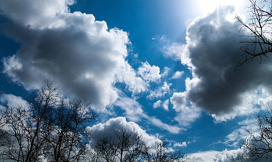 cielo, blu, natura, nube, primavera, alberi, giorno s, tempo metereologico, cielo blu, nuvola - cielo, albero, bellezza nella natura, Inquadratura dal basso, nessuno, scenics - natura, ambiente, Cloudscape, la tranquillità, giorno, Colore bianco, pianta, luce del sole, cielo drammatico, scena tranquilla, all'aperto, meteorologia, cima dell'albero, luminosa, 4K, CC0, dominio pubblico, privo di copyright