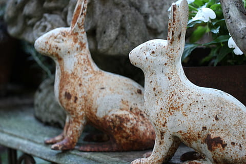 tæt, makro, deco, figur, kanin, gammel, årgang, retro, rustfri, påske, Påske hare, påske dekoration, forår, dekoration, porcelæn, Brun, dyr, hvid, nuttet, ingen mennesker, tæt på, dyr repræsentation, repræsentation, fokus på forgrunden, dag, Kunst og håndværk, skulptur, natur, udendørs, solid, plante, kreativitet, dyre temaer, statue, selektiv fokusering, pattedyr, hvid farve, 5K, CC0, offentligt domæne, royaltyfrie