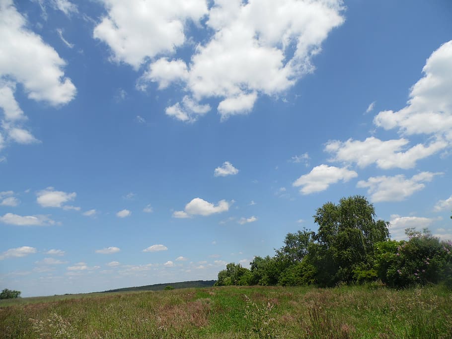 núvols, naturalesa, cel, sol, temps, arbre, blau, estiu, primavera, paisatge, Sarre, núvol, blauer himmel, prat blau, escènic, grässer, landschaften, arbres, núvol - cel, planta, bellesa a la natura, tranquil·litat, escena tranquil·la, escenics - natura, dia, terra, escena no urbana, medi ambient, camp, cap gent, creixement, herba, color verd, a l'aire lliure, 4K