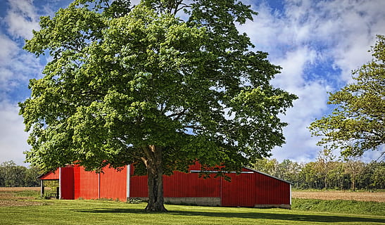 lade, rustik, staldene, ohio, digital kunst, landdistrikterne, naturskøn, Land, landskabet, landskab, skur, skure, gård, gårde, landbrug, landbrugs, stuehus, Champaign, region, americana, Foto, fotografi, struktur, strukturer, sturgell, william sturgell, bill sturgell, historisk, hjem indretning, bygninger, skyer, himmel, træ, træer, overskyet, ukrudt, champaign county, Urbana, plante, natur, grøn farve, græs, bygget struktur, sky - himmel, Mark, bygning udvendig, arkitektur, dag, ingen mennesker, vækst, jord, udendørs, sollys, rød, bygning, 4K, CC0, offentligt domæne, royaltyfrie