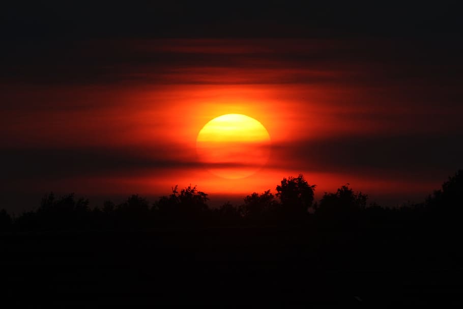 sol, fatalitat, posta de sol, núvols, colors, aire, tarda, bellesa a la natura, cel, escenics - natura, escena tranquil·la, silueta, tranquil·litat, arbre, color taronja, idíl·lic, planta, cap gent, naturalesa, núvol - cel, escena no urbana, medi ambient, paisatge, por, cel dramàtic, a l'aire lliure, fosc, cel romàntic, 4K