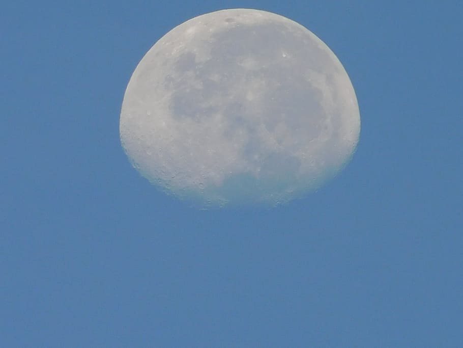 Tag Mond, Blau, Himmel, Mond, Platz, klarer Himmel, Astronomie, Natur, keine Leute, Flachwinkelansicht, Schönheit in der Natur, planetarischer Mond, Ruhe, kopieren sie platz, ruhige Szene, draußen, Mondoberfläche, Szenen - Natur, Kugel, Nacht-, idyllisch, Astrologie, Weltraum und Astronomie, Blauer Hintergrund, 4K