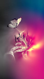 alb, negru, fluture, digital, tapet, fluturi, roz, gândac, floare, planta cu flori, fragilitate, vulnerabilitate, plantă, frumusețe în natură, prospeţime, petală, a închide, natură, cap de floare, nici o persoana, creştere, inflorescenţă, culoarea roz, selectiv, în aer liber, polen, liniște, moliciune, Violet, 1080P, CC0, domeniu public, fără drepturi de autor