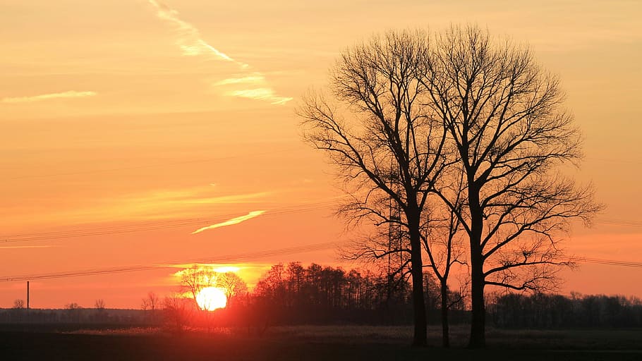 posta de sol, arbres, llac, aigües, silueta, cel de la nit, crepuscle, elbaue, prettin, color taronja, arbre nu, arbre, bellesa a la natura, escenics, cel, paisatge, sol, naturalesa, escenics - natura, planta, núvol - cel, medi ambient, tranquil·litat, llum solar, retroil·luminat, cap gent, escena tranquil·la, camp, a l'aire lliure, cel romàntic, brillant, 4K