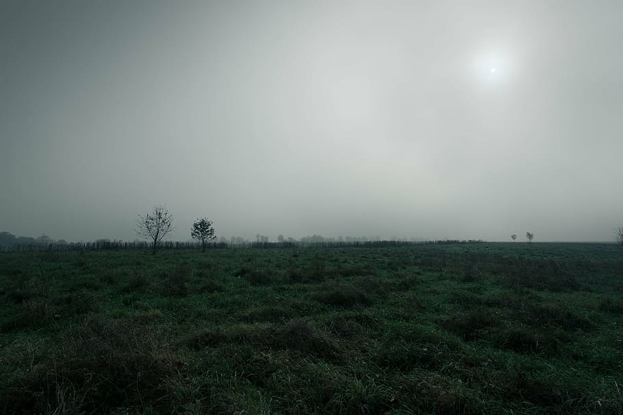camp, cobertura, núvols, pantà, amarrar, pis, paisatge, humit, boira, vegetació, pastures, bog, sol, avanç, gris, medi ambient, cel, herba, planta, naturalesa, tranquil·litat, cap gent, terra, arbre, bellesa a la natura, escenics - natura, escena tranquil·la, fantasmal, escena no urbana, lluna, remot, a l'aire lliure, lluna plena, 1080P