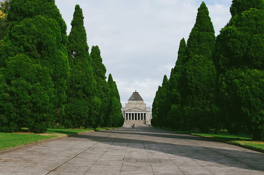 green, leafed, shrubs, across, grey, concrete, building, white, house, trees, grass, pathway, shrine, people, man, girl, nature, sky, sunny, summer, bike, bicycle, architecture, history, outdoors, built structure, building exterior, travel destinations, green color, no people, tree, plant, the past, growth, day, travel, the way forward, tourism, direction, religion, ancient civilization, 4K