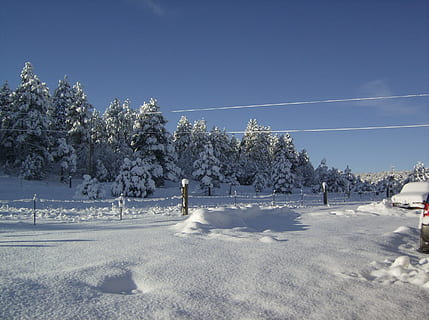 nieve, invierno frio, paisaje, naturaleza, frío, invierno, blanco, árbol, temperatura fría, al aire libre, cielo, temporada, paisajes, scenics, escena rural, escarcha, nadie, planta, belleza en la naturaleza, campo, tranquilidad, cubierta, tierra, escena tranquila, día, paisajes - naturaleza, el color blanco, escena no urbana, ambiente, nieve en polvo, Montaña cubierta de nieve, 2K, CC0, dominio público, libre de derechos