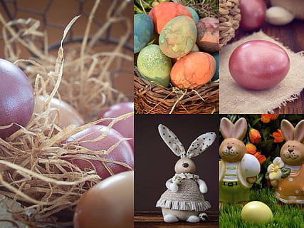foto, ou de Pasqua, collage de conill, fons, Pasqua, ou, ous de colors, llebre, Feliç Pasqua, ous de Pasqua, decoracions de pasqua, ous petits, niu, niu de Pasqua, patró, color, primavera, colorit, pintura d'ous de Pasqua, paleta de colors, decoració, cultures, celebració, a l'interior, tradició, vacances - esdeveniment, cap gent, festa, menjar, menjar i beguda, conill de Pasqua, representació animal, representació, art i artesania, niu d’animals, creativitat, ous d’animals, multicolor, 1080P, CC0, domini públic, lliure de regalies