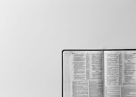 white printed paper, open, page, book, white, board, bible, scripture, type, text, word, indoors, copy space, no people, paper, close-up, studio shot, publication, white background, still life, education, communication, white color, single object, simplicity, wall - building feature, information medium, western script, 4K, CC0, public domain, royalty free