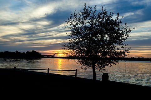posta de sol, delaware river, arbre, aigua, cel, silueta, bellesa a la natura, escenics - natura, núvol - cel, tranquil·litat, escena tranquil·la, llac, planta, naturalesa, reflexió, cap gent, idíl·lic, a l'aire lliure, escena no urbana, 1080P, CC0, domini públic, lliure de regalies