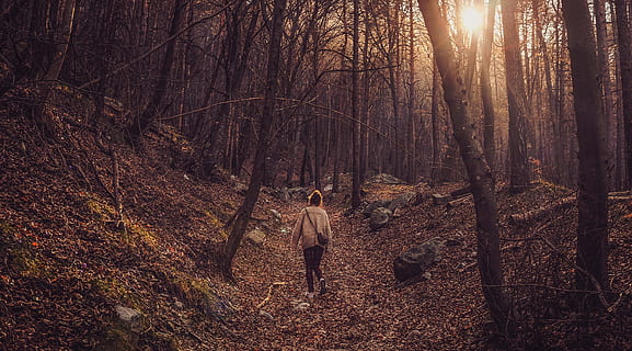 Berg, Rock, Blatt, fallen, Bäume, Pflanze, Natur, draussen, Wald, Menschen, Frau, Mädchen, weiblich, zurück, Baum, Land, Freizeitbeschäftigung, echte Menschen, Rückansicht, Lebensstile, Gehen, eine Person, in voller Länge, Baumstamm, Kofferraum, Stehen, Schönheit in der Natur, Ruhe, Tag, Nicht-städtische Szene, draußen, Veränderung, 4K, CC0, gemeinfrei, lizenzfrei