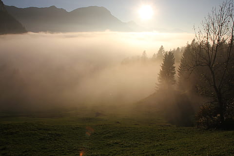 vuoret, aurinko, levätä, pilviä, sumu, luonto, puu, auringonlasku, maisema, metsä, aamu, ulkona, scenics, auringonvalo, valjeta, auringonnousu - aamunkoitto, kauneus luonnossa, hämärä, auringonsäde, kevyt - luonnollinen ilmiö, taivas, syksy, tyyneys, rauhallinen kohtaus, maisemat - luonto, kasvi, ympäristö, ei ihmisiä, vuori, ei-kaupunkikuvia, maa, idyllinen, utuinen, 5K, CC0, public domain, rojaltivapaa