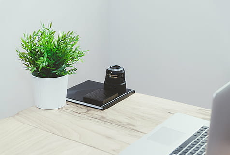 grøn, bladede, plante, gryde, ved siden af, hovedbog, bord, blad, omdrejningspunktet, hvid, bærbar, computer, macbook, teknologi, skrivebord, kontor, forretning, kreativ, træ, indretning, kamera, linse, fotografering, objekter, notesbog, indendørs, bygget struktur, ingen mennesker, arkitektur, dag, natur, potteplante, stueplante, vækst, møbel, plante del, træ - materiale, mad og drikke, meddelelse, hjem interiør, moderne, urt, 4K, CC0, offentligt domæne, royaltyfrie