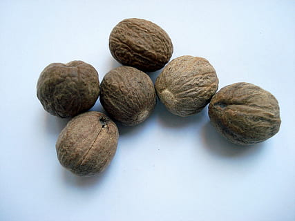 sei, Marrone, noccioline, bianca, superficie, Noce moscata, Muskat, cibo, frutta, natura, dado - cibo, avvicinamento, biologico, cibo e bevande, mangiare sano, benessere, natura morta, Noce, freschezza, sfondo bianco, gruppo di oggetti, in casa, nessuno, girato in studio, tavolo, gruppo medio di oggetti, frutta secca, vista dall'alto, spuntino, 2K, CC0, dominio pubblico, privo di copyright