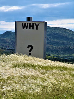 perché?, segnaletica, erba, giorno, verde, campo, ?, cartello, perché, bacheca, arte, domanda, testo, all'aperto, tavola, punto interrogativo, risposta, confusione, ciglio della strada, montagna, cielo, pianta, natura, comunicazione, terra, nuvola - cielo, nessuno, paesaggio, ambiente, bellezza nella natura, numero, informazione, scenics - natura, 1080P, CC0, dominio pubblico, privo di copyright