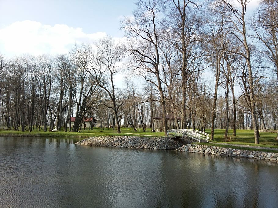 bosc, parc, arbres, tarda, llac, bosc, parc, naturalesa, passarel·la, arbre nu, aigua, reflexió, arbre, cap gent, a l'aire lliure, planta, cel, arquitectura, dia, estructura construïda, riu, bellesa a la natura, davant del mar, escenics - natura, tranquil·litat, escena tranquil·la, primavera, 2K