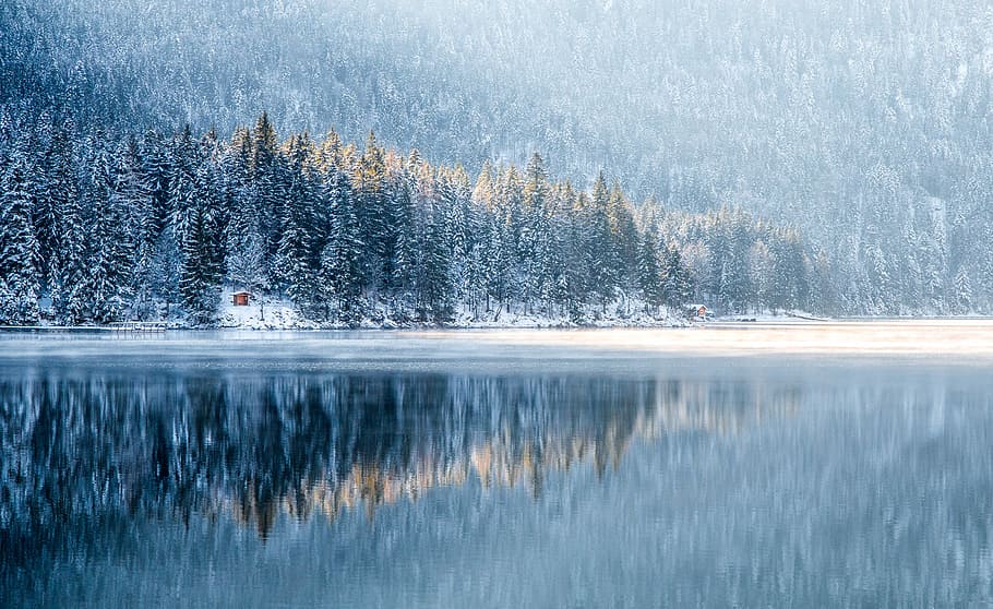snestorm i skoven, landskabsfotografering, grøn, træer, legeme, vand, træ, sø, sne, afspejling, natur, vinter, Skov, is, landskab, fyrretræ, kold, ze, fredfyldte, eventyr, rejselyst, blå, Bavarium, Tyskland, Eibsee, plante, scenics - natur, kold temperatur, skønhed i naturen, ro, rolig scene, ikke-urbane scene, jord, ingen mennesker, nåletræ, fyrreskov, sner, 5K