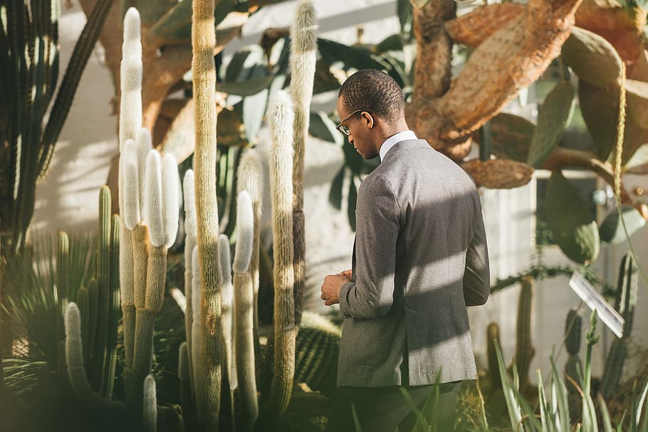 home, caminar, al costat, planta de cactus, de peu, frontal, cactus, ombra, botànic, hivernacle, masculí, vidre, vestit, naturalesa, cactú, jardí, persona, contempla, estudiar, botànica, planta, creixement, homes, una persona, camp, agricultura, terra, dia, treball, persones reals, home jove, cultiu, tres quarts de longitud, ocupació, mascles, granja, escena rural, a l'aire lliure, homes madurs, 4K