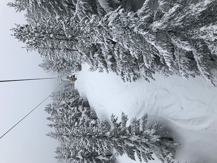 ztratil v krásné, zelená, strom, pokryté, sníh, stromy, zimní, lyže, sedačková lanovka, lyžařský vlek, lyžování, sněží, zataženo, hora, svahy, lidé, studená teplota, rostlina, krása v přírodě, bílá barva, Příroda, krytina, zamrzlý, den, scenics - příroda, přistát, nikdo, klid, přeprava, klidné scény, mimoměstské scény, venku, extrémní počasí, zasněžené hory, jehličnatého stromu, borovice, prašan, 4K