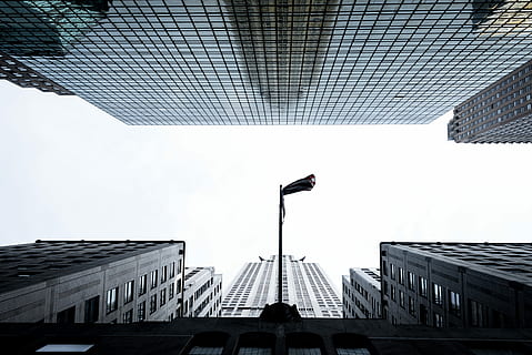 blanc, concret, edifici, clar, cel, durant el dia, baix, fotografia de vista d'angle, pal de bandera, de gran alçada, edificis, arquitectura, finestra, gratacels, urbà, reflexió, buscant, asta de bandera, bandera, escena urbana, new york, EUA, edifici d'oficines, alt, ciutat, estructura construïda, exterior de l'edifici, vista d’angle baix, naturalesa, dia, exterior d’edifici d’oficines, a l'aire lliure, oficina, alta - alta, cel clar, llum del carrer, cap gent, viatjar, transport, 5K, CC0, domini públic, lliure de regalies