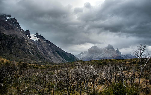 landschapsfotografie, bladloze bomen, bergketen, bruin, berg-, grijs, wolken, wolk, top, boom, gras, vegetatie, schrobben, bewolkt, sneeuw, Torres del Paine, woestijn, storm, Bos, struik, wolk - lucht, hemel, milieu, landschap, scenics - natuur, schoonheid in de natuur, natuur, fabriek, wildernis, bewolking, geen mensen, bergtop, buitenshuis, winter, reisbestemmingen, met sneeuw bedekte berg, 5K, CC0, publiek domein, royaltyvrij