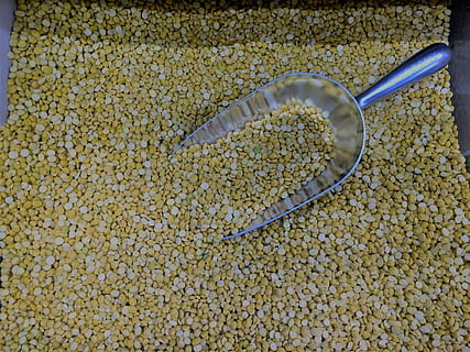 Yellow, Split, Pea, Dal, Legume, yellow, split, pea, uncooked, dry, vegan, bean, healthy eating, no people, food, indoors, close-up, freshness, kitchen utensil, eating utensil, food and drink, spoon, wellbeing, still life, high angle view, abundance, raw food, seed, cereal plant, serving scoop, nature, vegetarian food, 2K, CC0, public domain, royalty free