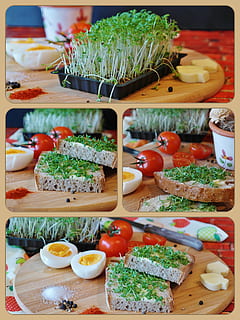 ou, universitat de pa entrepà, collage, creu, Crest de pa, pa, pa i mantega, menjar, bio, tomàquet, sal, pebre, amor de la terra, tancar, taula de tallar, decoració, natura morta, tauler de fusta, cobertura de pa, nutrició, planta crucífera, berro de jardí, mantega, deliciós, alimentació, pa de pagès, comestible, saludable, berenar, menjar i beguda, variació, amanida, cap gent, a l'interior, alimentació saludable, vegetals, safata, frescor, fruita, taula, elecció, benestar, llest per menjar, contenidor, primer pla, herba, 2K, CC0, domini públic, lliure de regalies