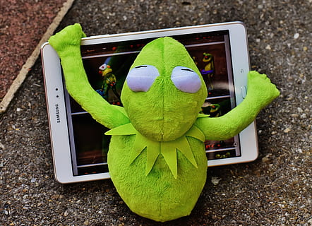 Kermit, frø, tablet, computer, figur, blødt legetøj, udstoppet dyr, sjov, nuttet, teknologi, grøn farve, skærm, trådløs teknologi, ingen mennesker, enhed skærmen, høj vinkel visning, legetøj, tæt på, repræsentation, plante, meddelelse, natur, udendørs, forbindelse, dag, dyr repræsentation, dyr, bærbar informationsenhed, tøjdyr, 4K, CC0, offentligt domæne, royaltyfrie