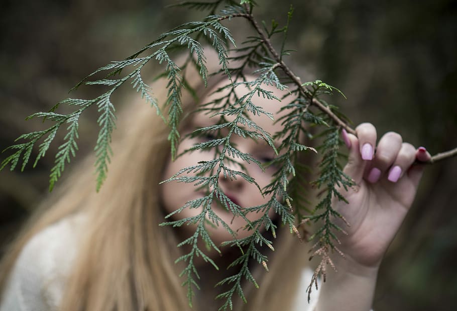 Frau, halten, Grün, Blatt Pflanze, Ast, Baum, Blatt, Hand, weiblich, blond, Luft, verschwommen, geringe schärfentiefe, Herbst, Porträt, draussen, Natur, eine Person, echte Menschen, Nahansicht, selektiver Fokus, Tag, Fokus auf den Vordergrund, menschliches Körperteil, Lebensstile, menschliche Hand, Pflanze, Erwachsene, draußen, Pflanzenteil, Blumenmuster, 4K