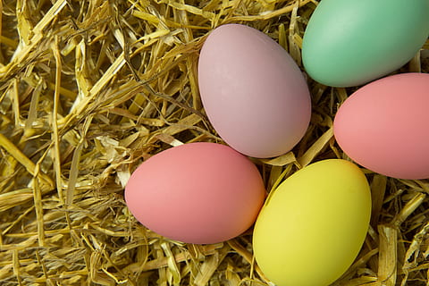 skott, färgglada påskägg, över huvudet, färgrik, påskägg, olika, påsk, ägg, djur ägg, mat, natur, gräs, djur-, sugrör, hö, springtime, gul, multi färgad, bruka, brun, djurbo, kulturer, firande, Semester, mat och dryck, grupp av objekt, början, nytt liv, inget folk, bräcklighet, sårbarhet, inomhus, boet ägg, 4K, CC0, offentligt domän, royaltyfria