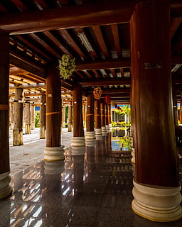 temple hall, arcade, temple complex, temple, north thailand, architectural column, architecture, built structure, no people, colonnade, indoors, the past, building, history, day, sunlight, place of worship, religion, corridor, nature, in a row, travel destinations, ceiling, ornate, courtyard, shrine, 2K, CC0, public domain, royalty free