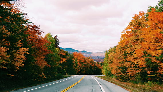 Straße, Pfad, Bäume, Pflanzen, Natur, Berg, Landschaft, Gras, fallen, Herbst, Himmel, Baum, Pflanze, Transport, der Weg nach vorn, Richtung, Schönheit in der Natur, Veränderung, die Straßenmarkierung, keine Leute, Symbol, Markierung, doppelte gelbe Linie, Zeichen, abnehmende Perspektive, Ruhe, Land, Trennlinie, 4K, CC0, gemeinfrei, lizenzfrei