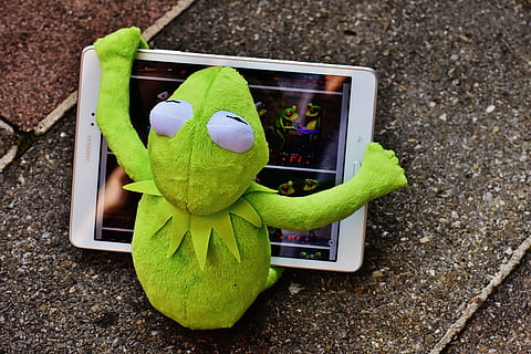 Kermit, frø, tablet, computer, figur, blødt legetøj, udstoppet dyr, sjov, nuttet, teknologi, grøn farve, meddelelse, trådløs teknologi, repræsentation, legetøj, skærm, ingen mennesker, dyr repræsentation, bærbar informationsenhed, enhed skærmen, høj vinkel visning, forbindelse, tøjdyr, smart telefon, dag, mobiltelefon, tæt på, udendørs, hører efter, 5K, CC0, offentligt domæne, royaltyfrie