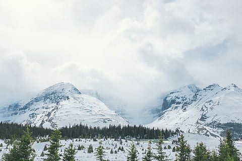 arbres, muntanya, ennuvolat, cel, hora del dia, blanc, neu, cobert, núvols, paisatge, Serra, núvol, bosc, vall, muntanya rocosa, rocós, hivern, horitzó, Parc Nacional, banff, jaspe, ca, temperatura de fred, escenics - natura, núvol - cel, arbre, bellesa a la natura, muntanya nevada, planta, escena tranquil·la, tranquil·litat, medi ambient, escena no urbana, naturalesa, cap gent, dia, pi, arbre de coníferes, bosc de pi, cim de muntanya, 4K, CC0, domini públic, lliure de regalies