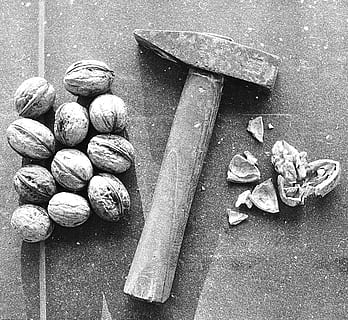 noci accanto alla zappa, schiaccianoci, martello, guscio di noce, dieta, Salute, macro, ingrediente, delizioso, gustoso, biologico, Noci, Crosta, naturale, cibo, gruppo, legna, cracker, crepa, mangiare, strumento, noccioline, vecchio, molti, fatti in casa, nocciolo, cottura al forno, cucina, frutta, medicina, natura, vicino, ricco di noci, crudo, natura morta, nessuno, vista dall'alto, cibo e bevande, grande gruppo di oggetti, Noce, tavolo, conchiglia, avvicinamento, mangiare sano, giorno, benessere, freschezza, in casa, guscio di animale, variazione, dado - cibo, scelta, gruppo di oggetti, 4K, CC0, dominio pubblico, privo di copyright