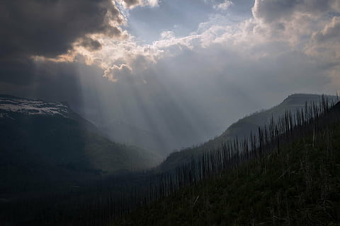 fotografi lanskap, pohon, tertutupi, gunung, pemandangan, awan, cahaya, matahari, sinar matahari, sinar krepuskular, di luar rumah, alam, puncak, kabut, langit, bersinar, lembah, indah, hutan, awan - langit, keindahan di alam, scenics - alam, ketenangan, adegan yang tenang, lingkungan Hidup, adegan non-urban, tidak ada orang, pegunungan, idilis, tanah, hari, 1080P, CC0, domain publik, bebas royalti