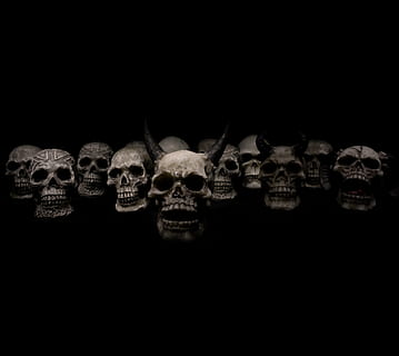 grey skull lot, skulls, horror, death, human skeleton, black background, studio shot, copy space, human skull, spooky, human bone, skeleton, indoors, bone, fear, human body part, skull, representation, still life, large group of objects, the past, 5K