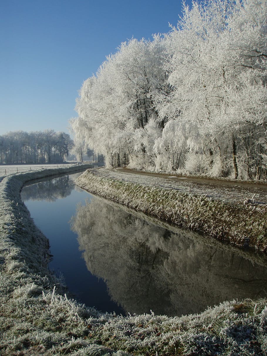 žiemą, veidrodis, medžiai, vanduo, kraštovaizdį, pobūdį, užšaldyti, sniegas, medis, šalta temperatūra, ledas, šalčio, augalų, dieną, nėra žmonių, ramybė, dangus, grožis gamtoje, ramioje scenoje, švarus dangus, vaizdai - gamta, upė, transportavimas, atspindys, ne miesto scenoje, lauke, 2K
