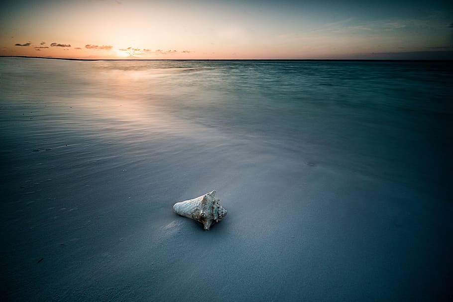 Muschel am Meer, Shell an der Küste, Schale, Sand, Wasser, Meer, Ozean, Sonnenaufgang, Sonnenuntergang, Strand, Sonne, Urlaub, Wolke, Langzeitbelichtung, Meeresmuschel, Horizont über Wasser, Himmel, Horizont, Szenen - Natur, Ruhe, Schönheit in der Natur, Umgebung, Natur, ruhige Szene, Land, keine Leute, Dämmerung, seelandschaft, idyllisch, draußen, 5K