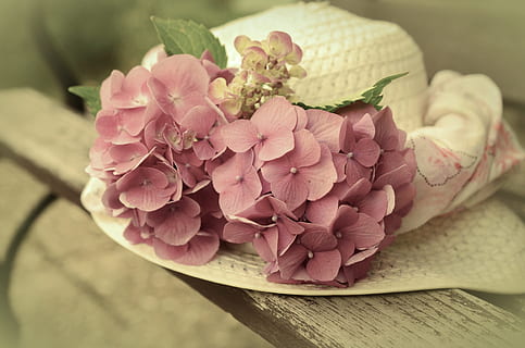 Weiß, Strohhut, Blume-Akzent, braun, hölzern, Bank, Hut, Sonnenhut, Hortensie, blass, reduzierte Farbtiefe, Romantik, romantisch, Gartenbank, Schöne Grüße, Blumen, Sommer-, Rand, Blume, blühende Pflanze, Frische, Pflanze, Nahansicht, pinke Farbe, Schönheit in der Natur, Tabelle, keine Leute, Stillleben, Essen und Trinken, drinnen, Blütenblatt, Fokus auf den Vordergrund, Natur, Zerbrechlichkeit, Blütenkopf, Holz - Material, Lebensmittel, Blütenstand, Blumenschmuck, Strauß, Blumenstrauß, 4K, CC0, gemeinfrei, lizenzfrei