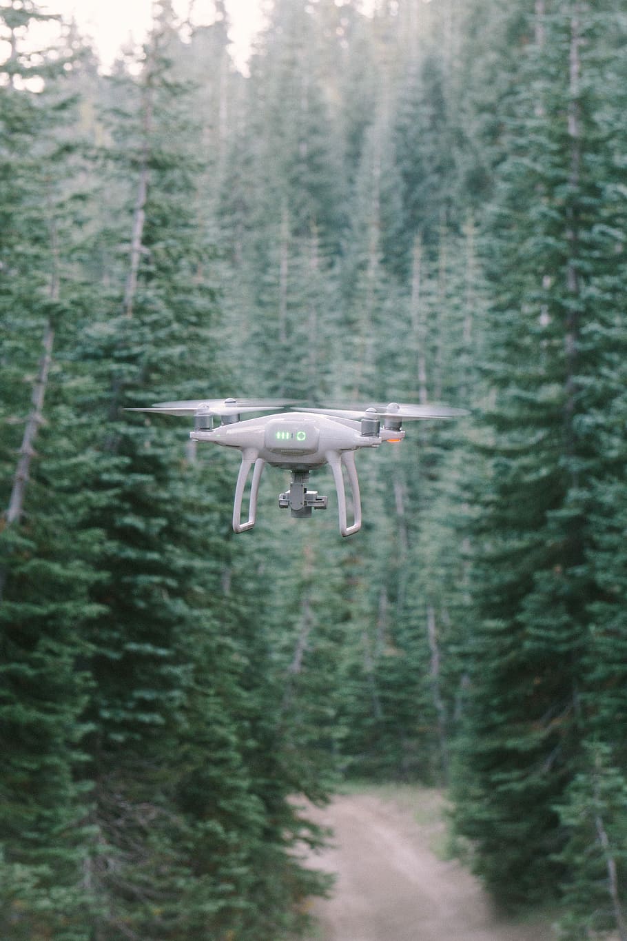 šedá, quadcopter drone, střední, les, den, šedý dron, trubec, strom, Fotoaparát, vrtule, dráha, silnice, borovice, podzim, zelená, slábnout, mlha, létající, fromwhereidrone, přeprava, způsob dopravy, leteckého vozidla, pohyb, střední vzduch, rostlina, letoun, Příroda, na cestách, nikdo, cestovat, přistát, rozmazaný pohyb, letecký a kosmický průmysl, venku, letadlo, výše, 5K
