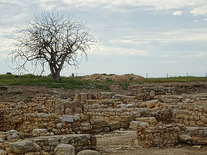 copac, inconjurat, iarbă, peisaj, piatră, perete, călătorie, vechi, arhitectură, arheologie, român, construcție roman, roman rămâne, Empúries, Ampurias, ruinele de ampurie, Imperiul Roman, oraș, teren, ruine, istorie, cer, nor - cer, natură, arbore gol, plantă, trecutul, construită, zi, vechea ruină, solid, nici o persoana, civilizatie antica, camp, în aer liber, perete de piatra, ruinat, 5K, CC0, domeniu public, fără drepturi de autor