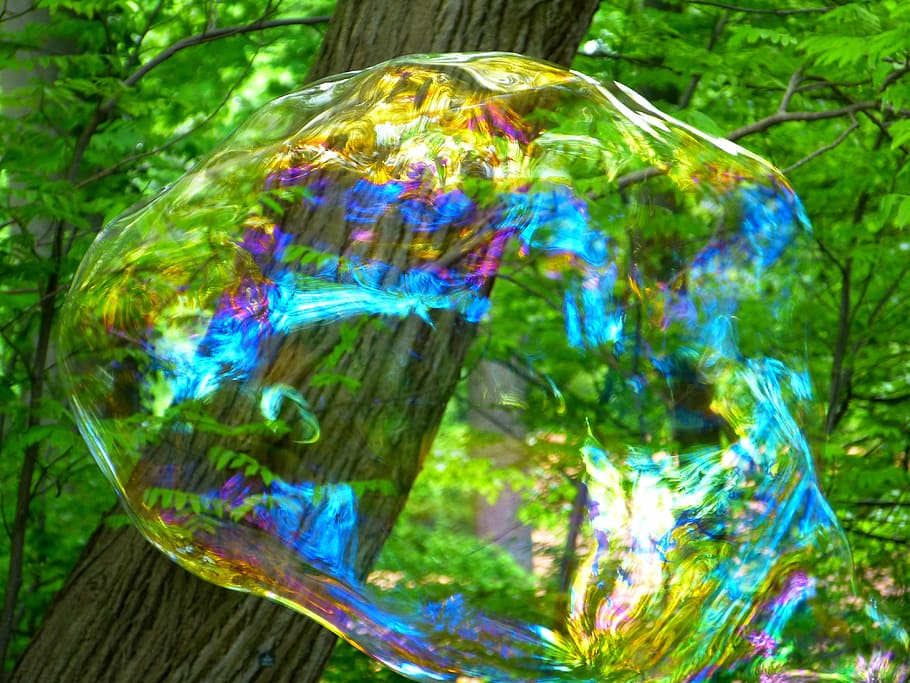 bolla di sapone, volare, senza peso, bagliore, galleggiante, arioso, alleviare, volo, immagini fotografiche, astratto, sfondi, natura, multicolore, avvicinamento, albero, nessuno, bolla, trasparente, acqua, pianta, giorno, brillante, all'aperto, fragilità, spettro, movimento, colore verde, vulnerabilità, dipingere, 4K