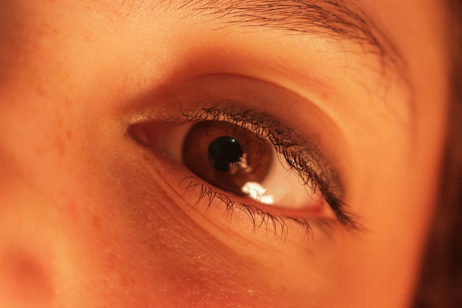 øje, øjeæble, makro, human, ansigt, syn, hud, blå, tæt, elev, pige, makeup, person, se, hvid, iris, vision, kvinde, ung, øjenvipper, øjenbryn, kaukasiske, farve, mennesker, sundhed, sort, mode, tiltrækkende, kosmetik, medicinsk, tæt på, menneskelige øje, leder, Kvinder, hunner, menneskeligt ansigt, en person, kaukasisk etnicitet, menneskelig kropsdel, sensorisk opfattelse, kropsdel, ekstrem nærbillede, voksen, iris - øje, menneskelig hud, teenager, øjenlåg, smuk kvinde, overvejelse, 5K