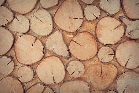 marró, lot de tros d’arbre, decoració, disseny, superfície, textura, paret, fusta, marc complet, fons, patró, material de fusta, forma, gran grup d'objectes, cap gent, registre, forma geomètrica, arbre, llenya, desforestació, cercle, indústria de la fusta, abundància, bosc, anell d’arbre, 4K, CC0, domini públic, lliure de regalies