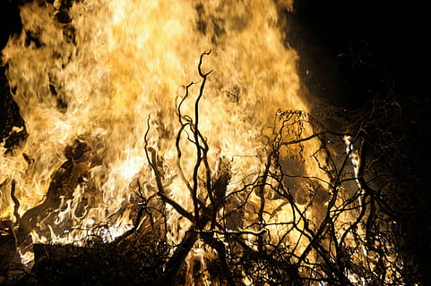 foc, flames, foguera, cremant, frontera, cocció, bruixa, foc - fenomen natural, calor - temperatura, flama, naturalesa, vermell, arbre, cap gent, planta, a l'aire lliure, color taronja, branca, bosc, llum solar, terra, silueta, brillant, posta de sol, arbre nu, 5K, CC0, domini públic, lliure de regalies